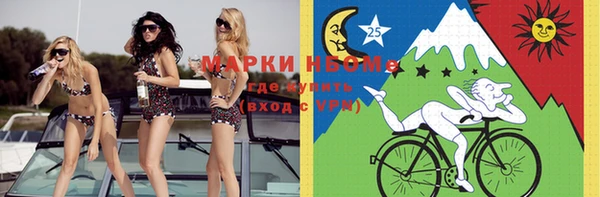 индика Беломорск