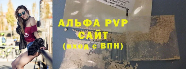индика Беломорск