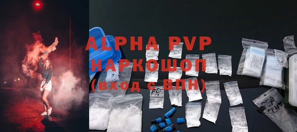 индика Беломорск