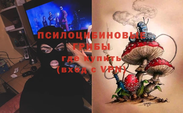хмурый Балабаново