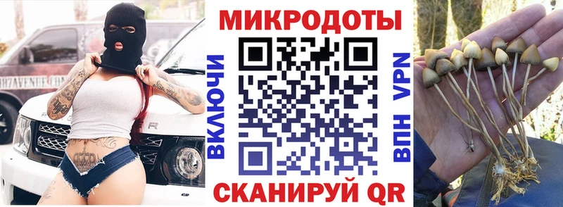 Галлюциногенные грибы прущие грибы  Лыткарино 